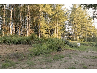 0 Elk City Rd, Toledo, OR 97391 - photo 6