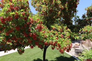 771 Aspen Dr, Cortez, CO 81321 - photo 4