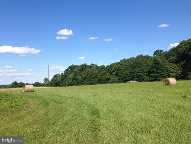 10729 Weaversville Rd, Bealeton, VA 22712 - photo 7