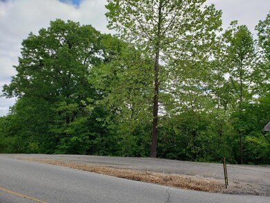 000 Oak Harbor Estates Joe Bald R, Kimberling City, MO 65686 - photo 3