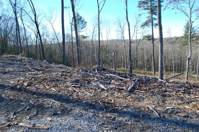 0 A Young Rd, Charlton, MA 01507 - photo 2