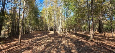 6 Acres N Broad St, Cowarts, AL 36321 - photo 7