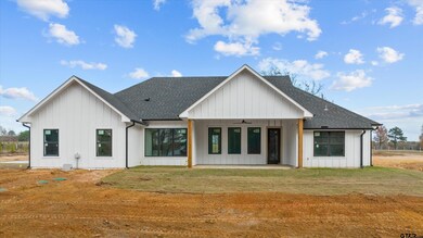 10946 County Road 233, Arp, TX 75750 - photo 6