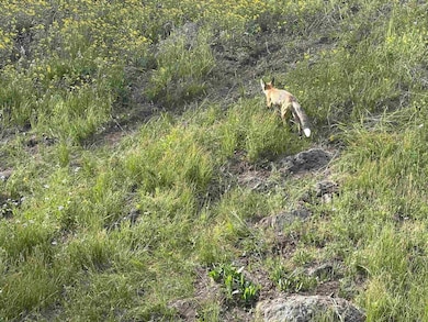 21344 Hilltop Dr, Cedaredge, CO 81413 - photo 6