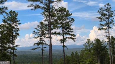 47 Springfield Pkwy, Ellijay, GA 30540 - photo 6