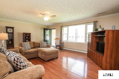 435 Mayfair Dr, Lincoln, IL 62656 - photo 5