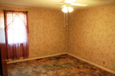 579 County Road 465, Poplar Bluff, MO 63901 - photo 7