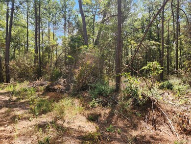 Lot 25 Yellow Poplar Ln, Plantersville, TX 77363 - photo 6