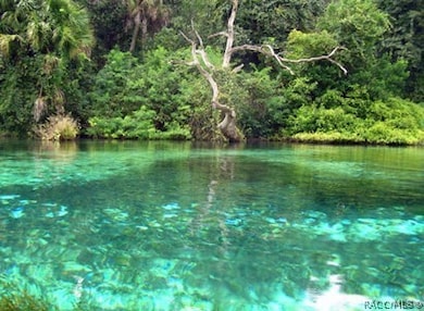 RAINBOW RIVER STATE PARK, DUNNELLON, FL