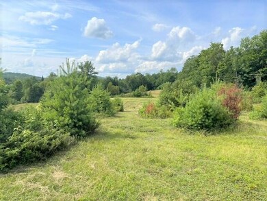 Field view