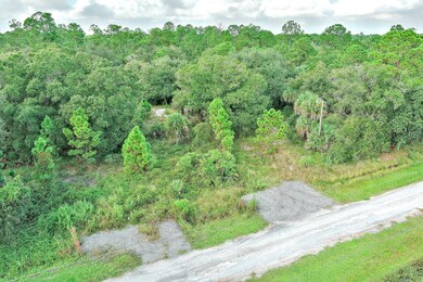 350 S Olivo St, Montura, FL 33440 - photo 3