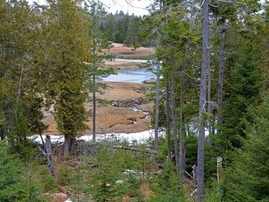 Partial view over Goose Cove marsh