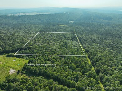 0 Hulsey Prairie unit 2524853, Panola, OK 74559 - photo 2