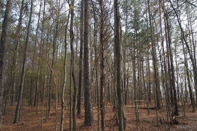 1651 Ray Thorington Rd, Montgomery, AL 36117 - photo 7