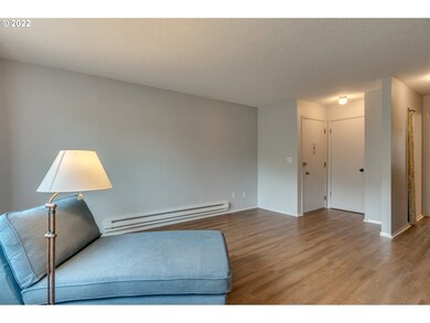 Living Room/Entrance