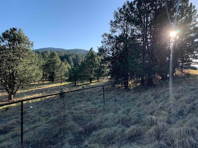 Lot 4 James Canyon Hwy unit 4, Cloudcroft, NM 88317 - photo 4