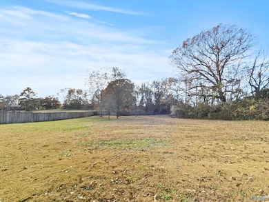 21811 Alabama 99, Elkmont, AL 35620 - photo 6