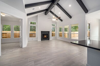 18019 Blu Terrace Dr, Conroe, TX 77302 - photo 5