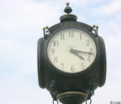 201 Dempsey Dr unit Pecan, Loris, SC 29569 - photo 4