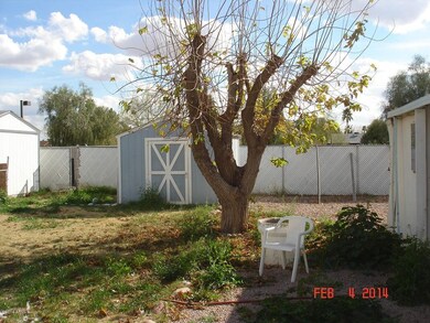 Backyard S