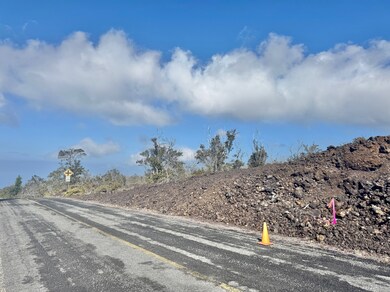 Lot 31 Block 145 Outrigger is from the top stake to the road sign.