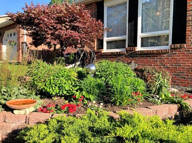 Front Landscaping