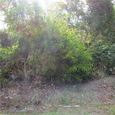 12348 Dolphin Rd, Pine Island Center, FL 33922 - photo 3