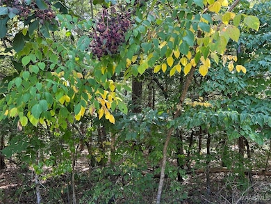 Lot 102 Beach Island Trace, Dadeville, AL 36853 - photo 3