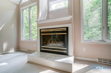 Living Room Gas Fireplace