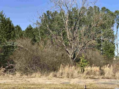 3994 Highway 378, Conway, SC 29527 - photo 3