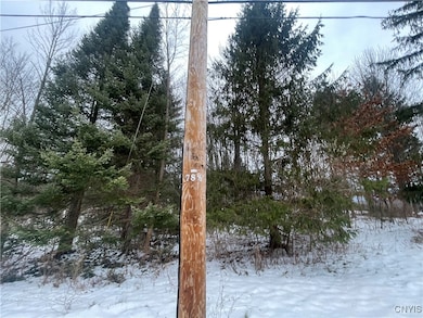 0 Emery Rd unit S1654552, Volney, NY 13069 - photo 4