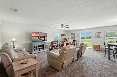 Carpeted living area with a textured ceiling, plenty of natural light, an office area, and a ceiling fan