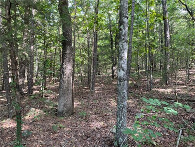 0089 Tract 8 & 9 Goats Bluff Rd, Wister, OK 74966 - photo 4