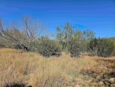 0 Abst 280 Por 10 unit 20255030, Laredo, TX 78045 - photo 6