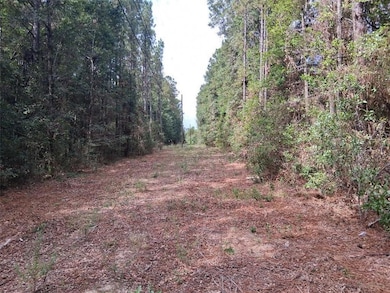 00000 Spice Pond Rd, Mobile, AL 36613 - photo 5