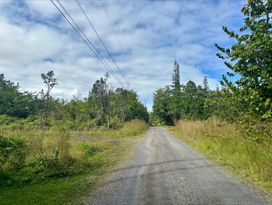 15-1022 Amau Rd, Hilo, HI 96720 - photo 2