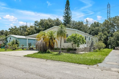 8831 Barcin Cir unit 94, Riverview, FL 33578 - photo 3