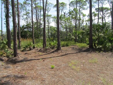 Open Spaces to walk this 2 acre lot.