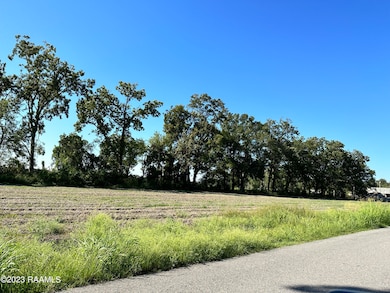 0 N Barn Rd unit 23008958, Breaux Bridge, LA 70517 - photo 2