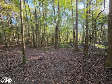 0 Co Rd 10, Samson, AL 36477 - photo 5