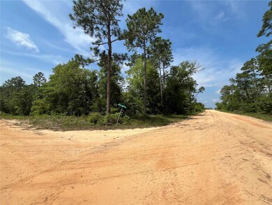 0 Holly Springs Ave unit MFROK225372, Alford, FL 32420 - photo 6