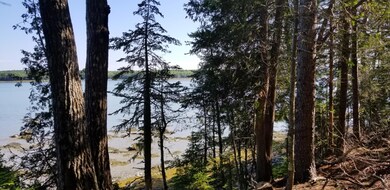 20190719_090305