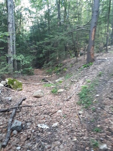 0 Curtis Rd unit 4892402, Winchester, NH 03470 - photo 6