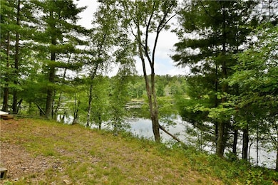 7016 Pot of Gold Rd, Danbury, WI 54830 - photo 2