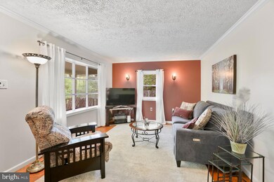 17111 John Marshall Hwy, Broad Run, VA 20137 - photo 6