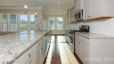 16 Southern Way Ln unit 21, Leicester, NC 28748 - photo 5