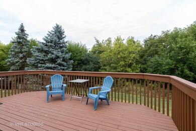 4608 Fesseneva Ct, Naperville, IL 60564 - photo 6