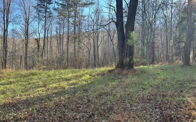 751 Kennemur Rd, Ellijay, GA 30536 - photo 7