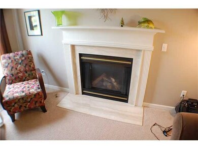 Other Gas Fireplace(Familyroom)