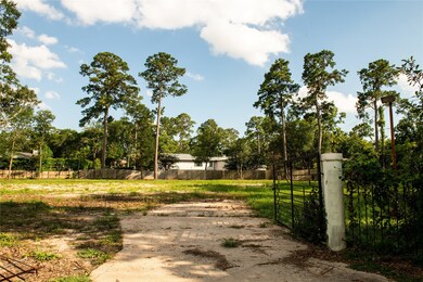 11439 Memorial Dr, Houston, TX 77024 - photo 5